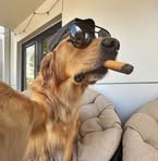Thomas Man - Facebook