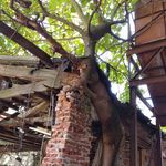 Kyle Thomas Meiser - @kylemeiser - Instagram