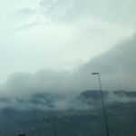 Thomas Meneses - @thomasmeneses2000 - Instagram