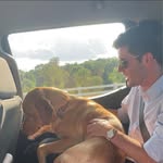 Thomas Messier - @tdmess - Instagram