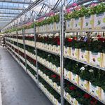 Thomas Messing - @messing_gartenbau_gmbh - Instagram