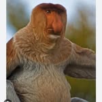 Thomas Michalak - @michalak9093 - Instagram