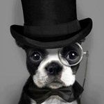 Thomas Miller - @thos55555 - Instagram
