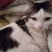 Thomas Mineo - Facebook
