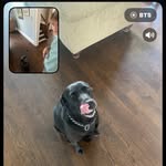 Thomas Minix - @thomas.minix - Instagram