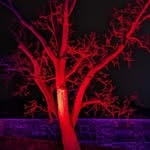 Thomas Mischke - @in.sta.for.fun - Instagram