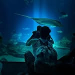Thomas Misner - @thomasmisner46684 - Instagram