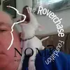 Growlwhisperer❌ - @thomasmitchell1966 - TikTok