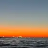 Thomas Mitchmore - @yea.itsmitchmore - TikTok