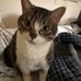 Thomas Mobilia - Facebook