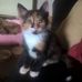Thomas Moir - Facebook