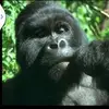Thomas Moldovan - @thomas.moldovan5 - TikTok