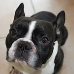 Thomas Molinaro - @buzz60410 - Instagram