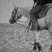Thomas Moll - Facebook