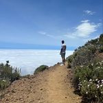 Thomas Moll - @thomasm_._ - Instagram