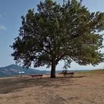 Tomassina Monacelli - @tomassinamonacelli - Instagram