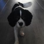 josh_thomas_monks - @josh_thomas_monks - Instagram