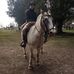 Tomas Monteleone - Facebook