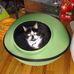 Thomas Morand - Facebook