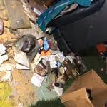 Thomas Morandi - @happyfishandmermaids - Instagram