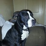 Thomas Morefield - @thomasmorefield - Instagram