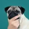 Thomas Somerfield - @thomassomerfield - TikTok