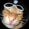 Thomas Moreno - @thomas.moreno94 - TikTok