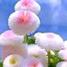 Thomas Mark - Facebook