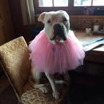 Thomas Moulin - @thomas.moulin.311 - Instagram