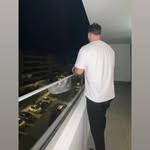 Thomas__Mrozek - @m_rozekthom - Instagram