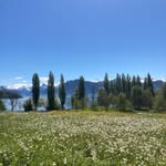 Thomas Muff - @thomasmuff14 - Instagram