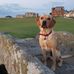 Thomas Muirhead - Facebook