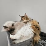 Thomas Münger - @mutho_68 - Instagram