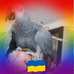 Thomas Munke - @thomasmunke - Instagram