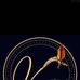 Thomas Munoz - Facebook