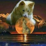 Troy Thomas Muraco - @troy_muraco - Instagram