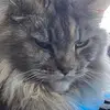 Thomas Murray - @thomas.murray70 - TikTok