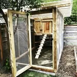 Thomas I Mutter - @naturecraft_coops - Instagram