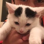 Thomas Nabors - @thomas_nabors - Instagram