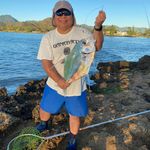 Thomas Nakata - @tomcatchfish - Instagram