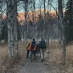 Thomas M - @thomas_namsom - Instagram
