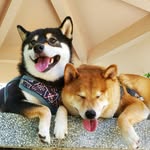 Thomas Nam - @t2oshiba - Instagram