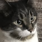 Thomas Nathaniel Schwartz - @thomas_nathaniel69 - Instagram