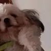 Thomas Navarrete - @thomas.navarrete2 - TikTok