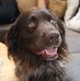 Thomas Neeb - Facebook