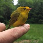 Thomas Nesbit - @thomasnesbit_ - Instagram