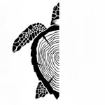 Thomas Ness - @loggerheadgrain - Instagram