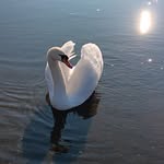 Thomas Neß - @thomasness65 - Instagram