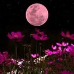 Thomas Ness - @thomasness3 - Instagram