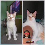 Gêmeos_Sem_Limites - @thomas_neymar2023 - Instagram